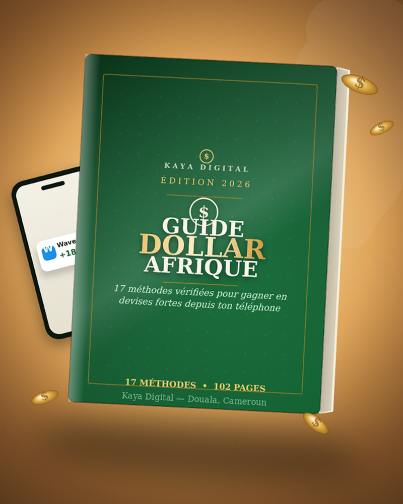 Guide Dollar Afrique — 17 méthodes pour gagner en dollars depuis l'Afrique, couverture du guide
