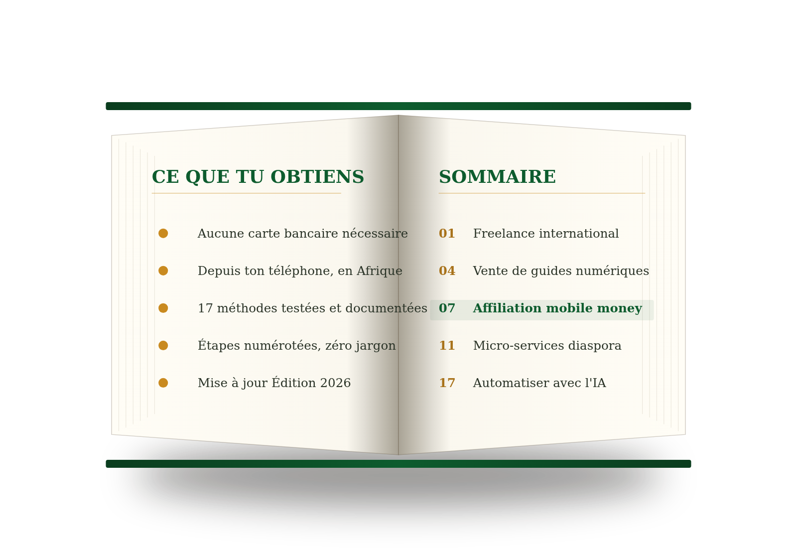 Guide Dollar Afrique ouvert — sommaire et bénéfices détaillés à l'intérieur des 102 pages